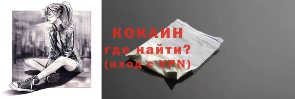 гашик Ельня