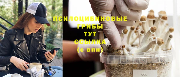 СК Аркадак