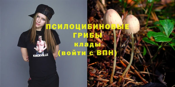 герыч Арсеньев